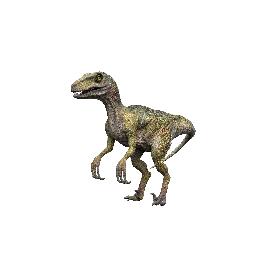 Highways and Streets Collection